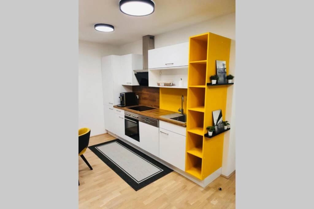 Leon Apartment Neu! Gemuetlichkeit An Erster Stelle Linz Eksteriør billede