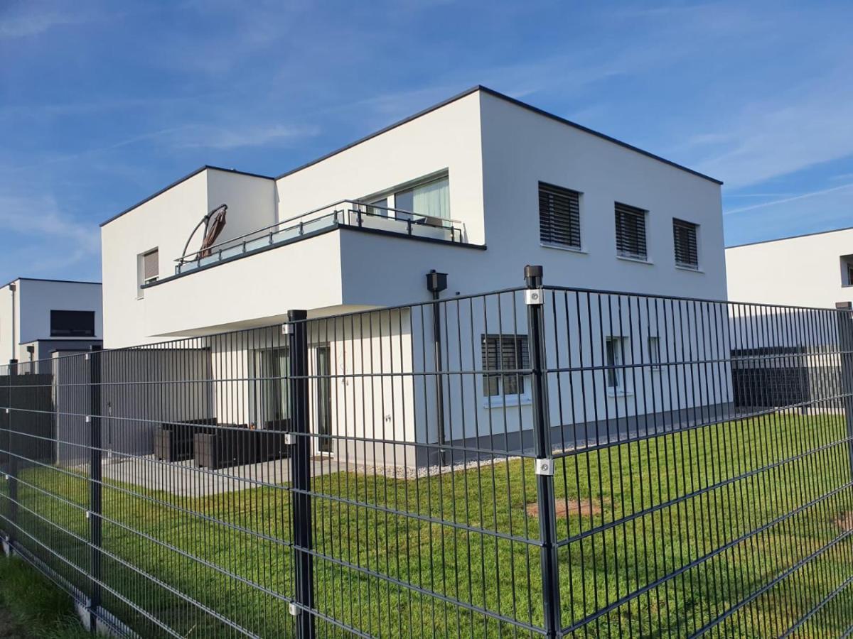 Leon Apartment Neu! Gemuetlichkeit An Erster Stelle Linz Eksteriør billede